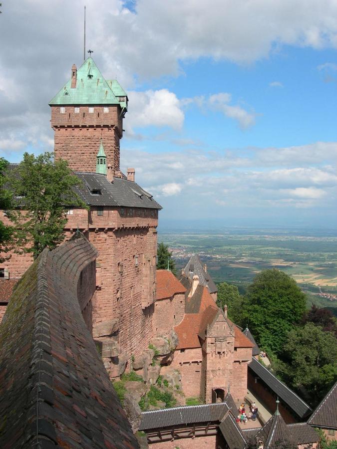 Magnifique Gite Le Clos Des Pierres Route Des Vins D'Alsace بيبلينهايم المظهر الخارجي الصورة