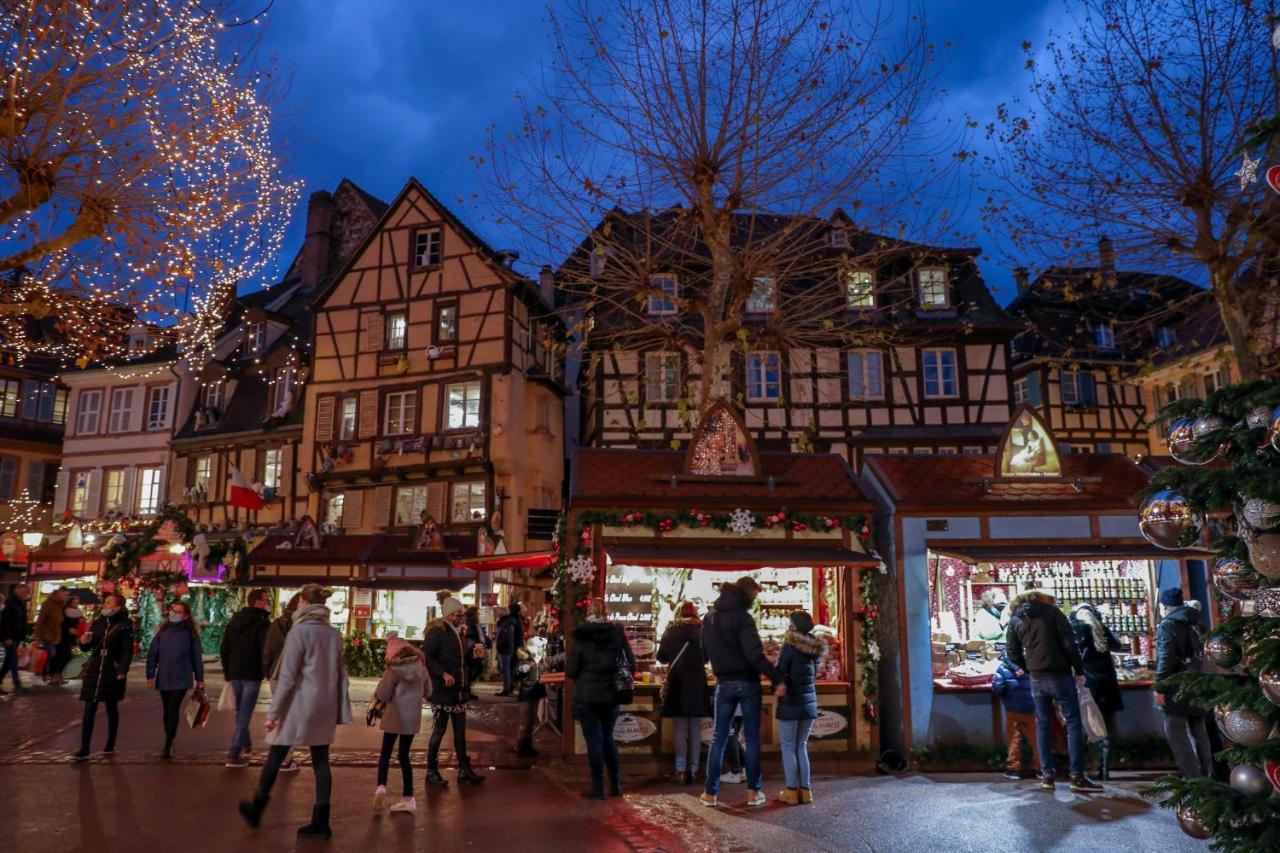 Magnifique Gite Le Clos Des Pierres Route Des Vins D'Alsace بيبلينهايم المظهر الخارجي الصورة